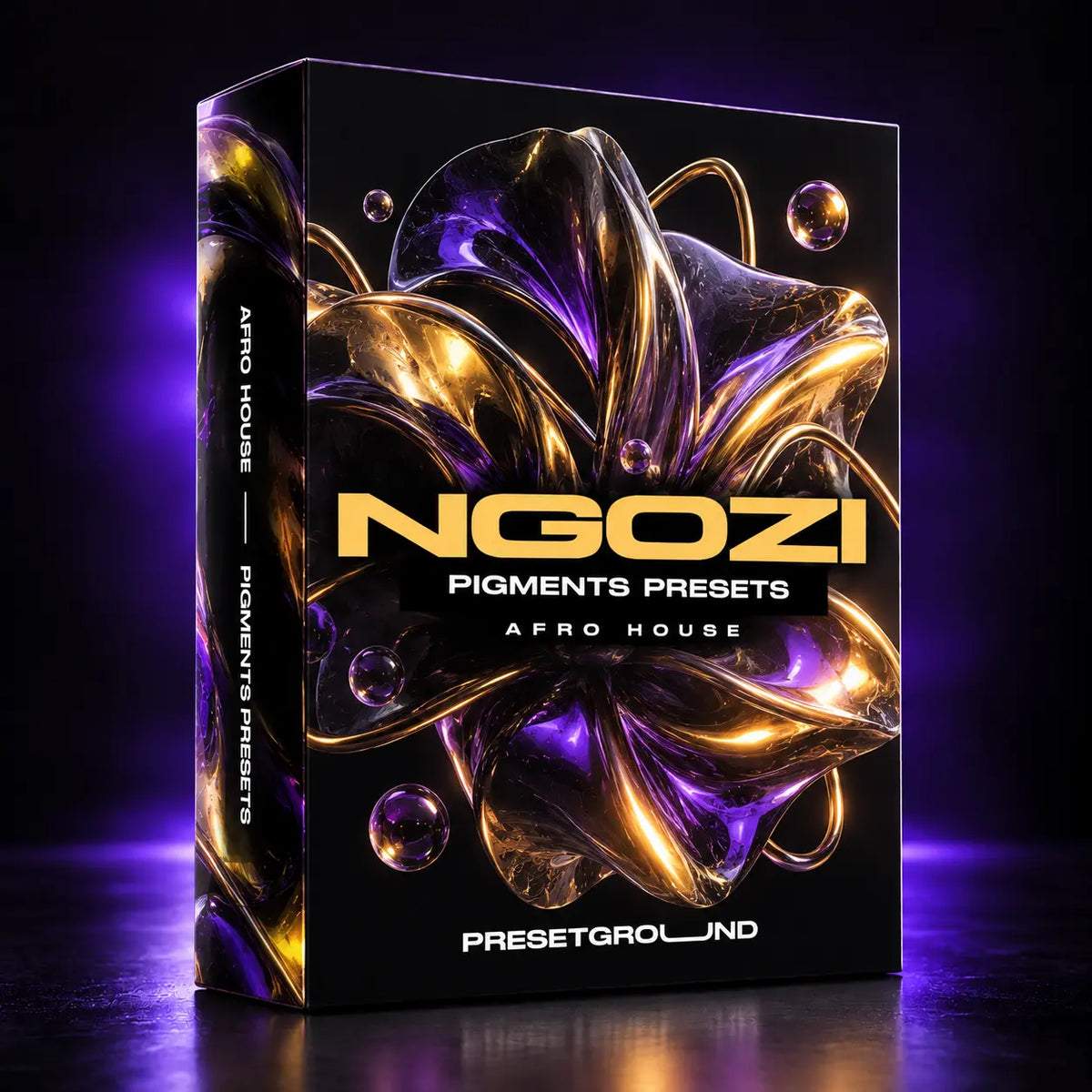 Pigment Presets Afro House | | Ngozi