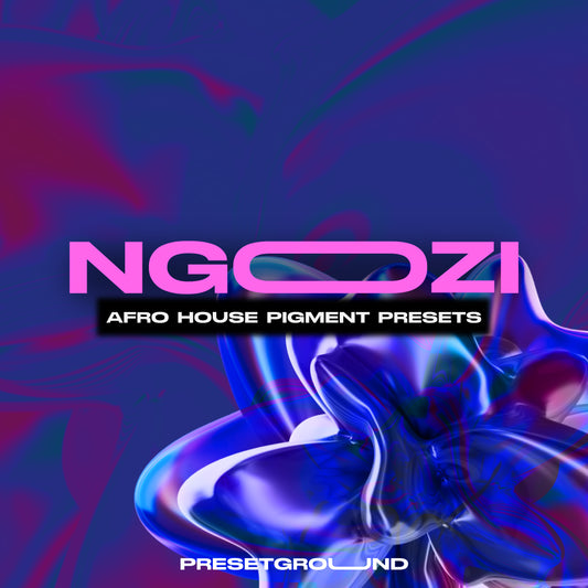 Pigment  Presets - Afro House |   NGOZI