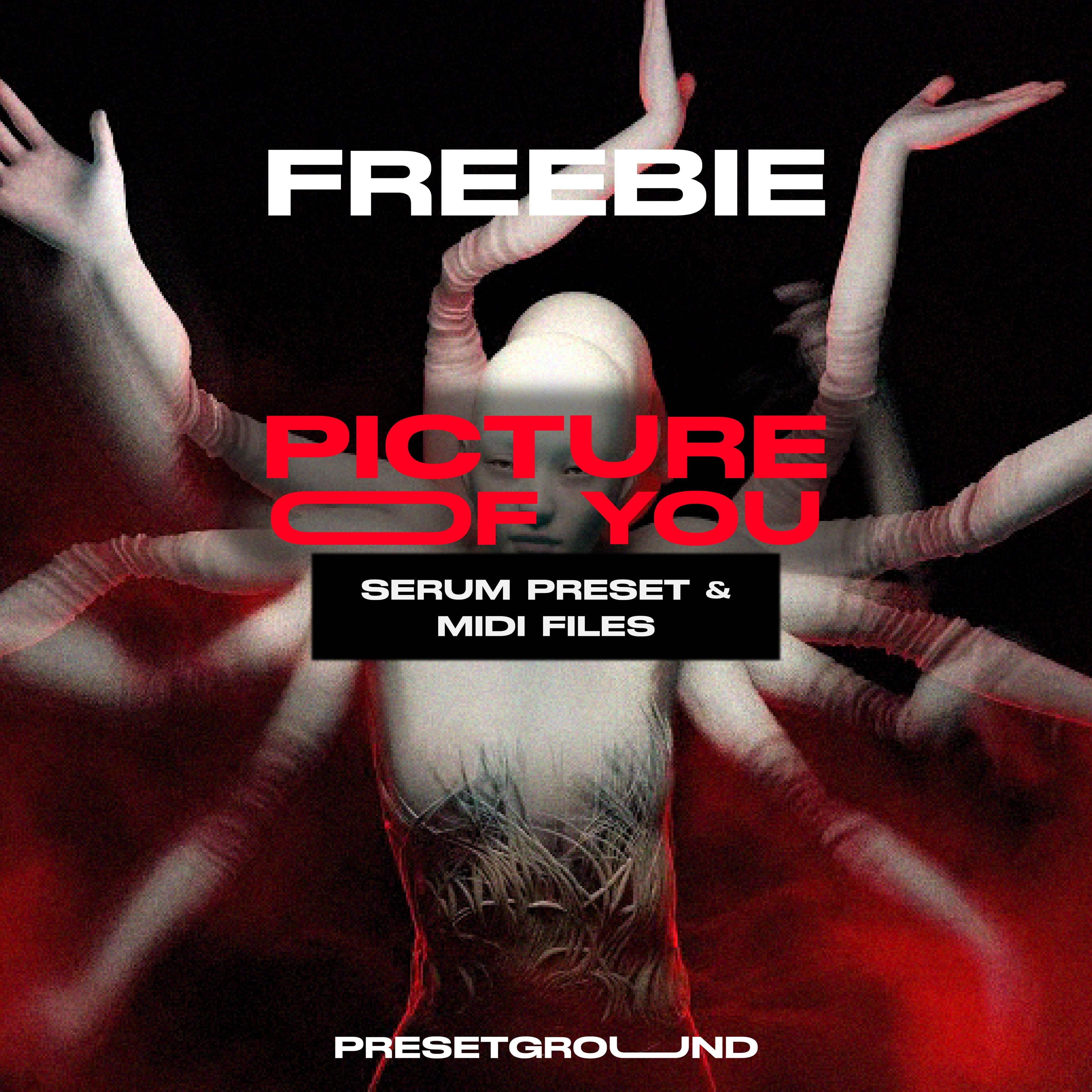 FREE MELODIC TECHNO MIDI & PRESET | PICTURE OF YOU - Presetground